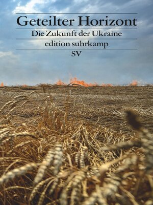 cover image of Geteilter Horizont
